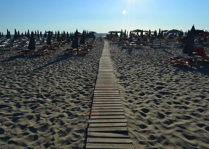 Nuovo Sun