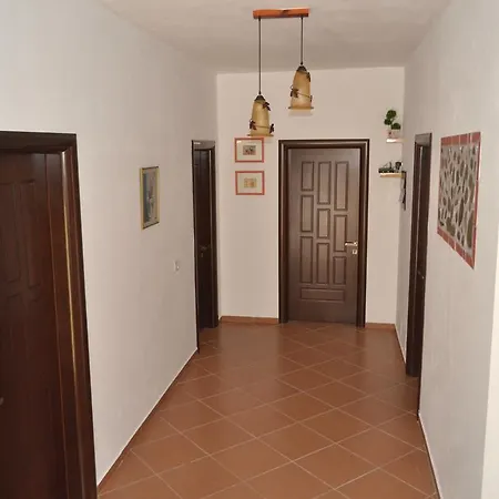 Nuovo Sun גולם