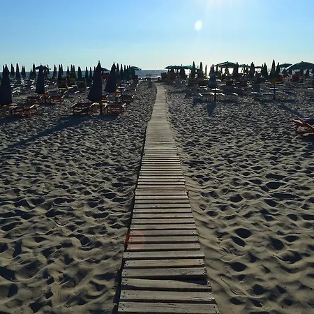Nuovo Sun