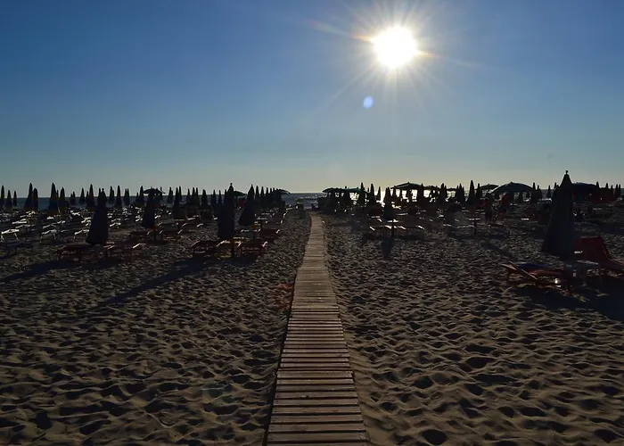 Nuovo Sun 4*